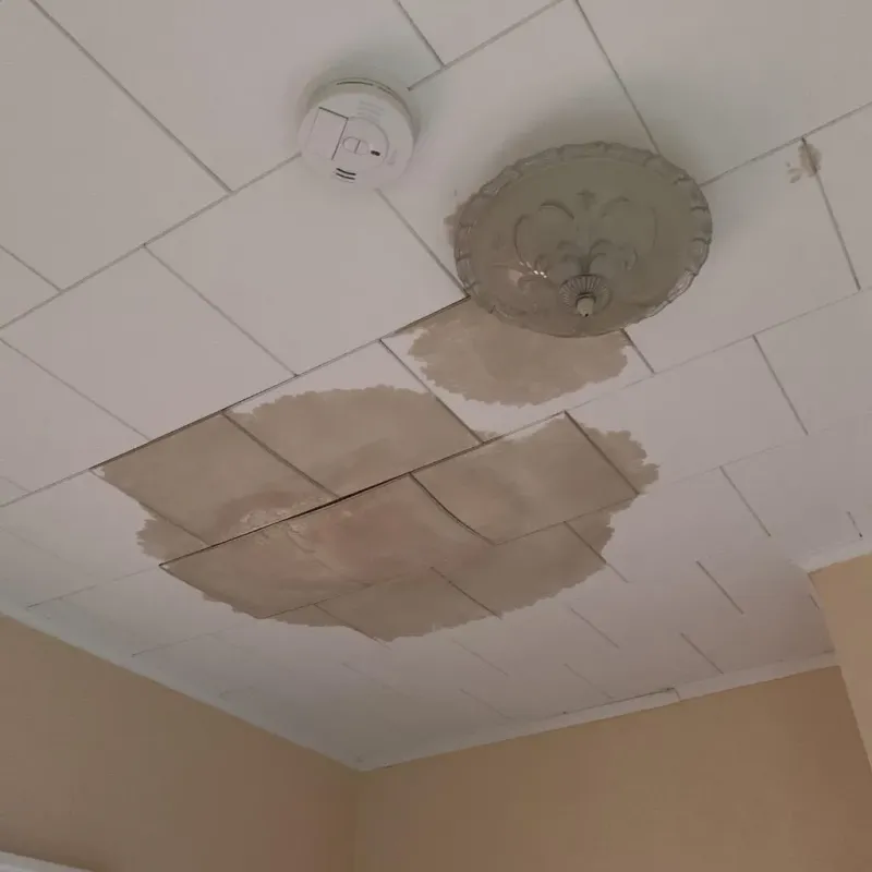 Ceiling Water Damage Repair in Laporte, PA